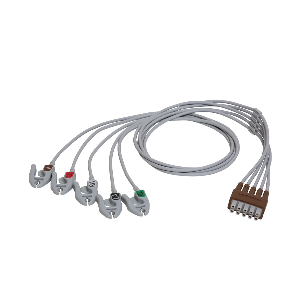 心电导联线ECG Cables and Leadwires-ECG Leadwire Set, 5-Lead, Grouped, Grabber, AHA, 74 cm/29 in（产品注册证号/备案凭证号：国械备20190172号）
