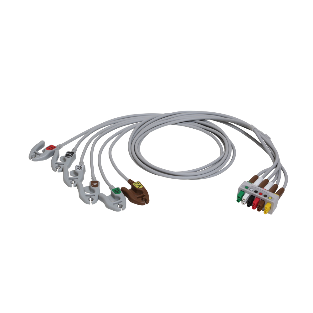 心电导联线ECG Cables and Leadwires-ECG Leadwire Set, 6-Lead, Grouped, Grabber, AHA, 74 cm/29 in（产品注册证号/备案凭证号：国械备20190172号）
