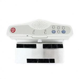 MRI SCIM with English Overlay MRI SCIM with English Overlay