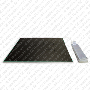 Digital Radiation Ion Chamber-Ionex Emitters Digital Radiation Ion Chamber-Ionex Emitters